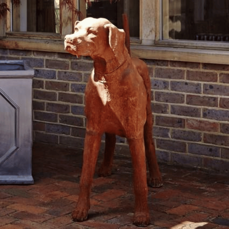 Cast Iron Standing Rhodesian Ridgeback Garden 95cm Statue