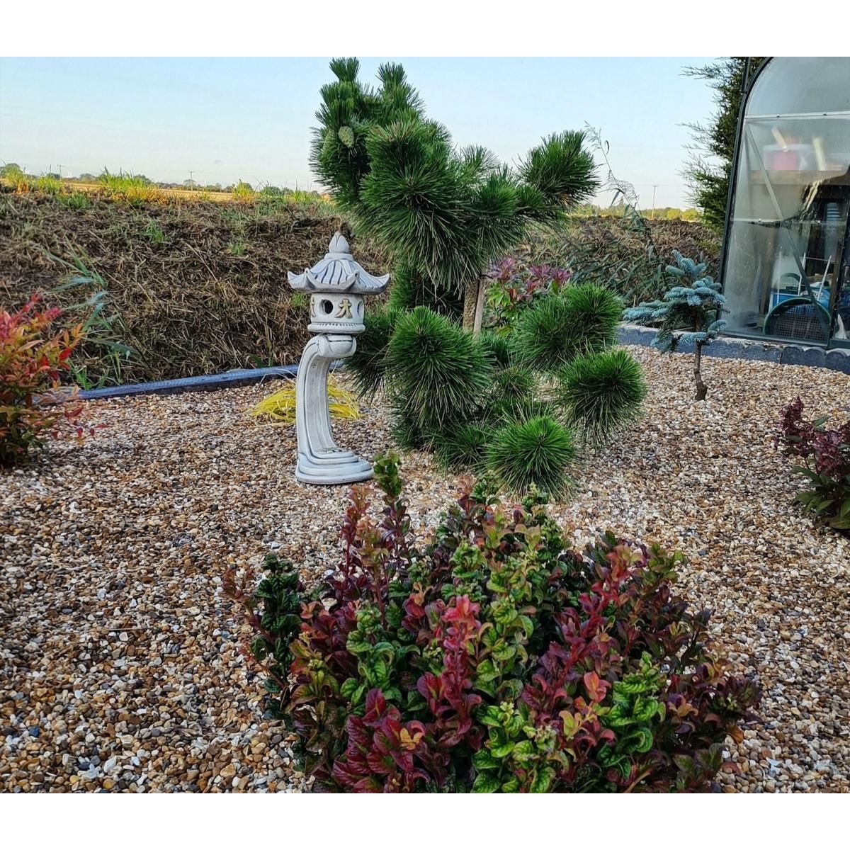Borderstone 54cm Curved Pagoda Oriental Garden Ornament