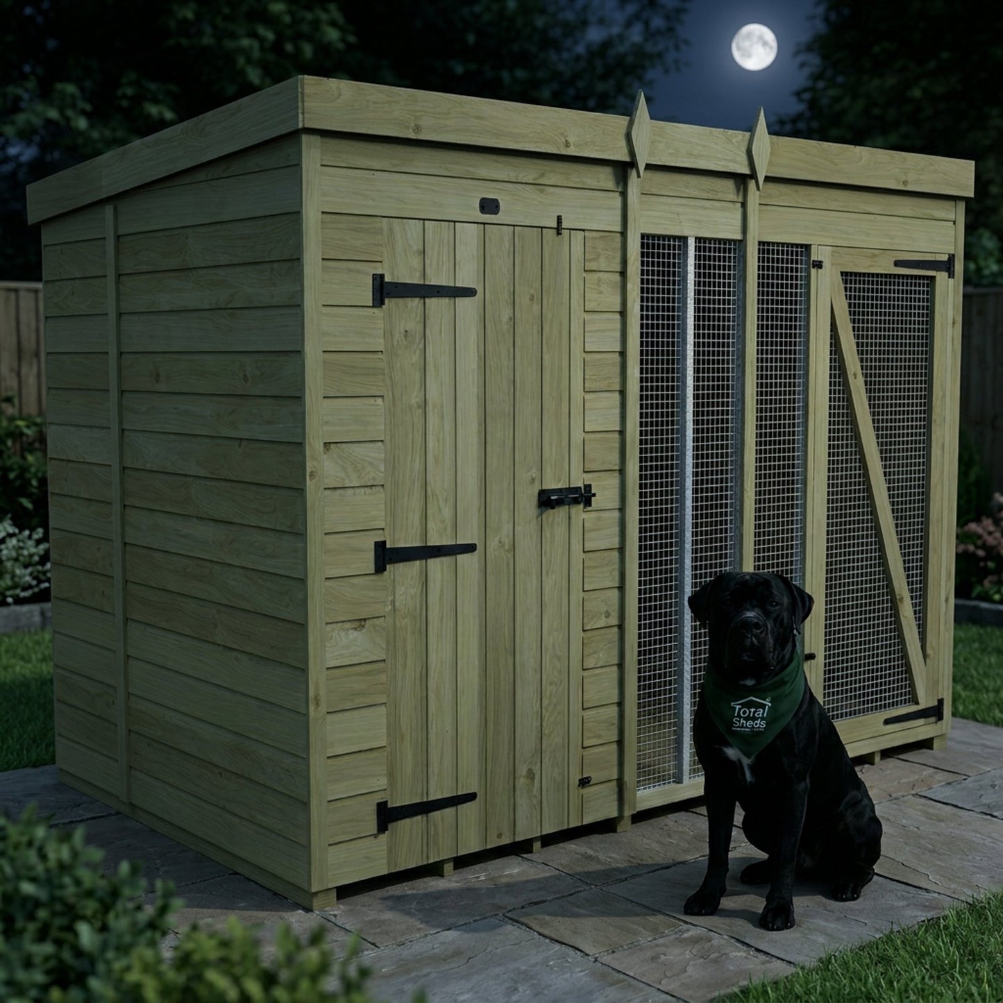 10 x 6 Dog Kennel And Run (Full Height) - view 6