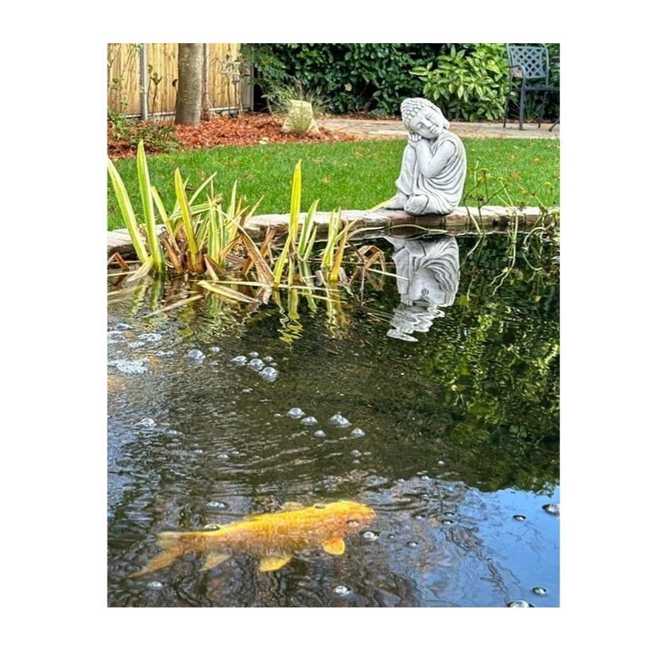 A serene garden pond features a golden koi fish swimming amidst bubbles, with a contemplative Buddha statue on the bank, surrounded by lush greenery.