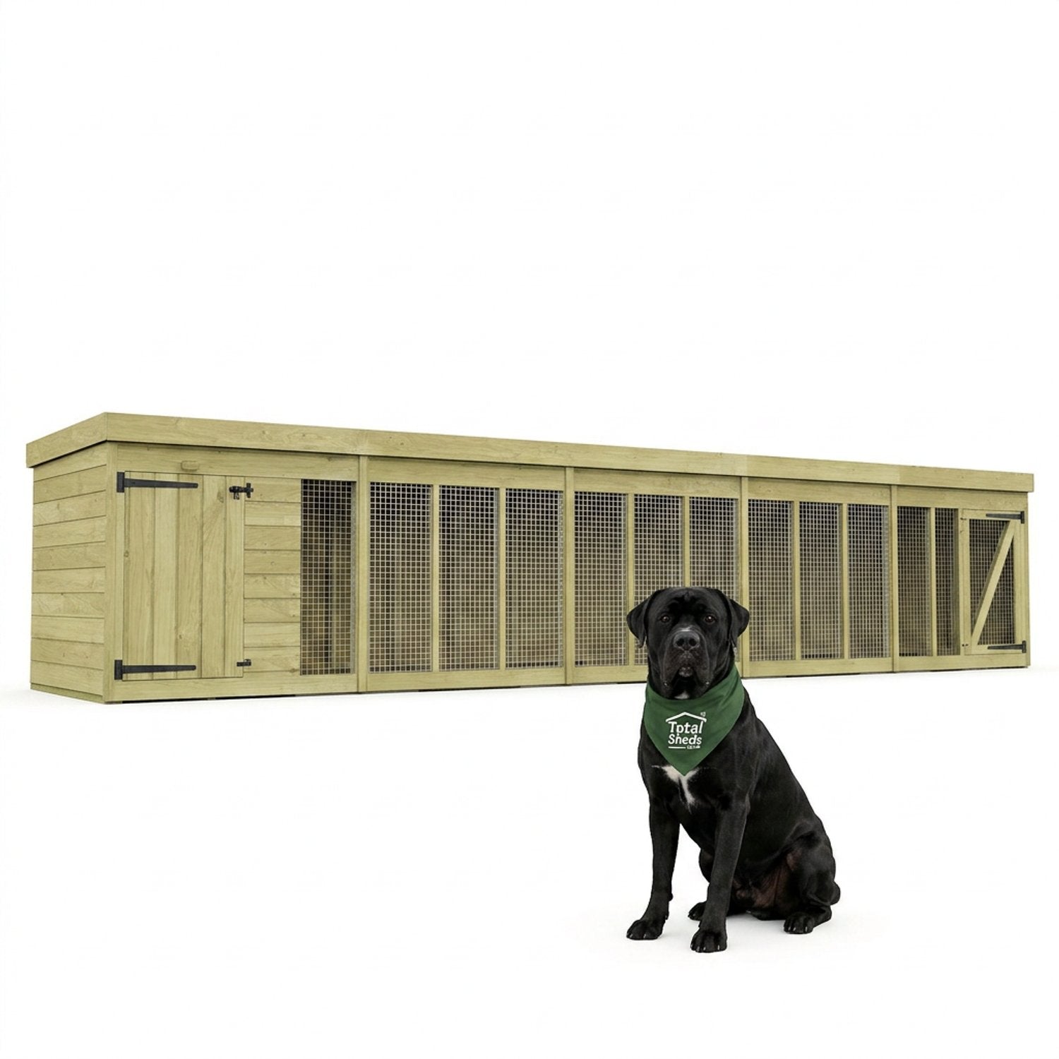 20 x 6 Dog Kennel And Run - view 5